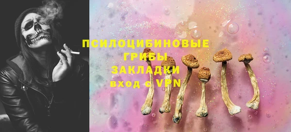 ПСИЛОЦИБИНОВЫЕ ГРИБЫ Алексин
