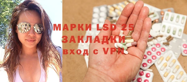 ПСИЛОЦИБИНОВЫЕ ГРИБЫ Алексин