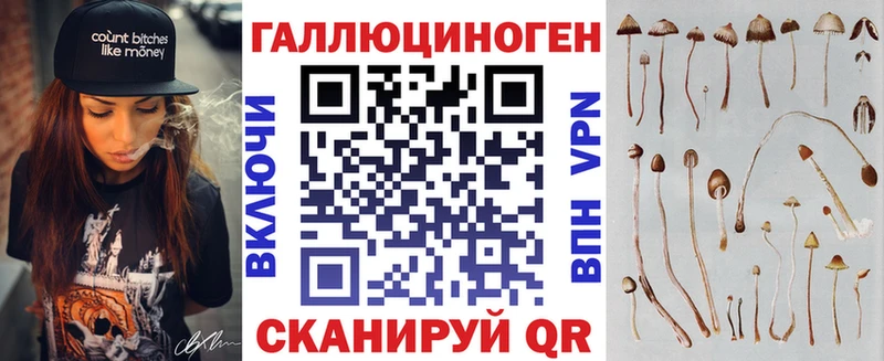 Псилоцибиновые грибы Psilocybe  Камбарка 